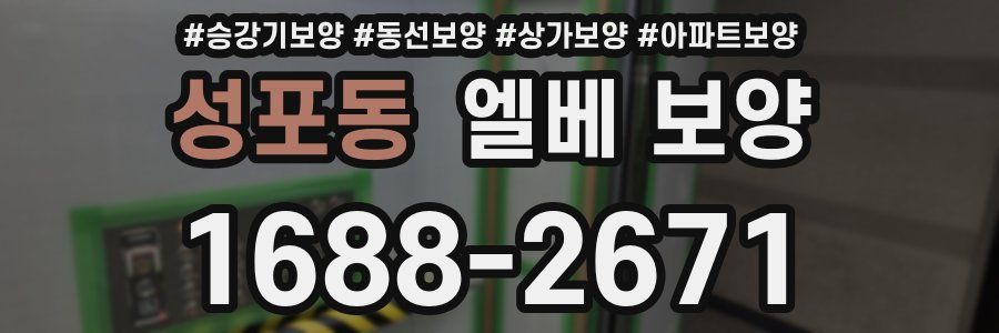 성포동 엘베 보양