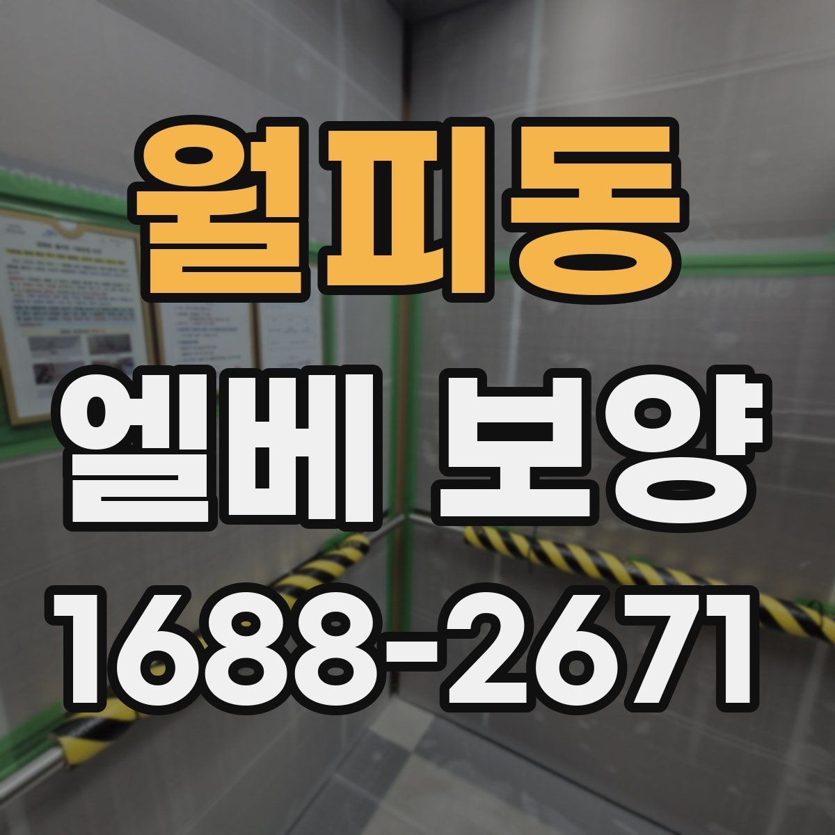 월피동 엘베 보양 유리 패널 있는 승강기에서 확인할 점