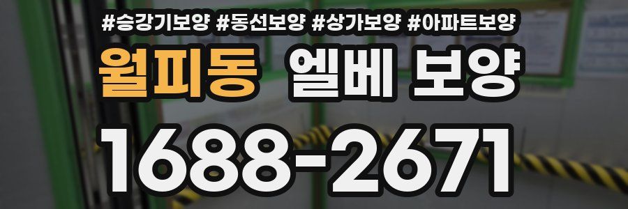 월피동 엘베 보양