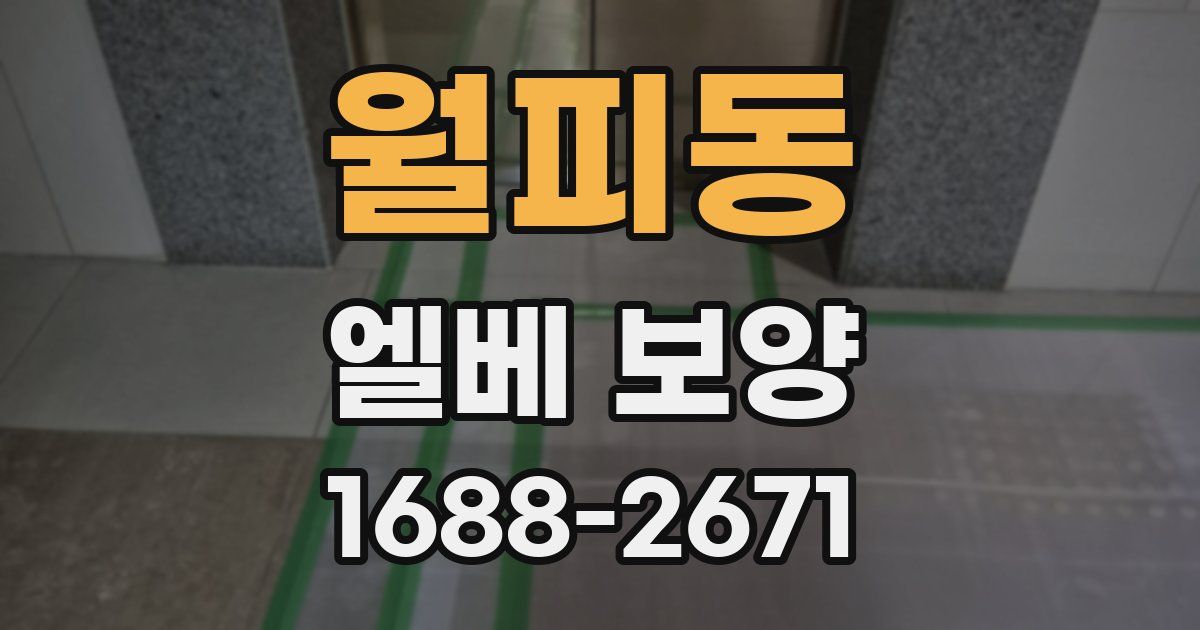 월피동 엘베 보양