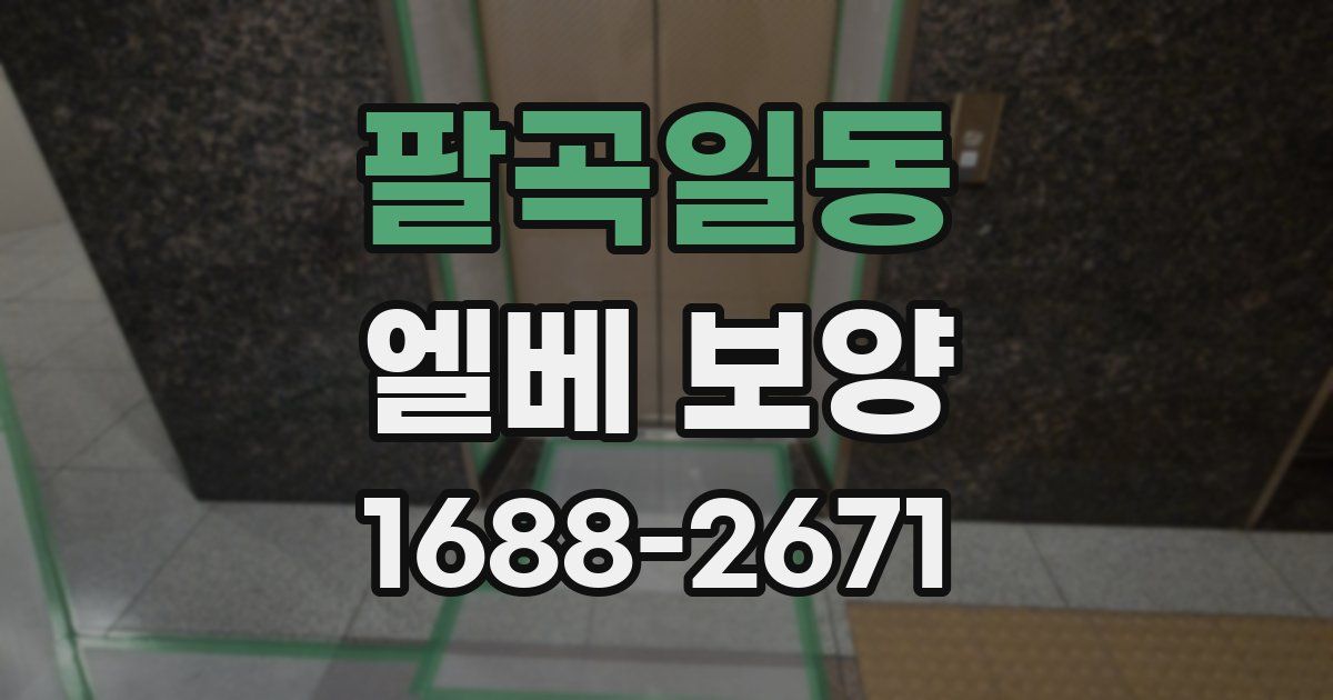 팔곡일동 엘베 보양