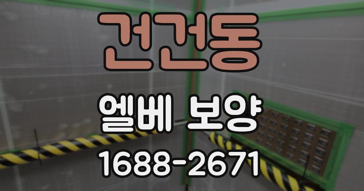건건동 엘베 보양