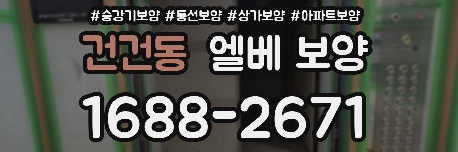 건건동 엘베 보양