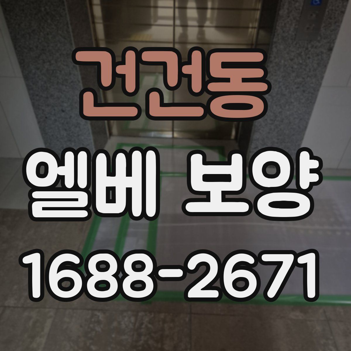 건건동 엘베 보양