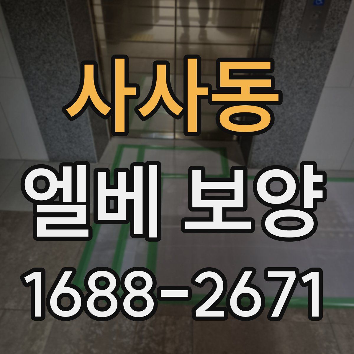 사사동 엘베 보양