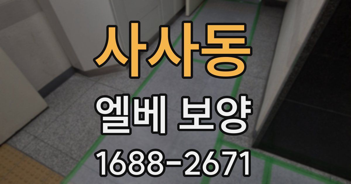 사사동 엘베 보양