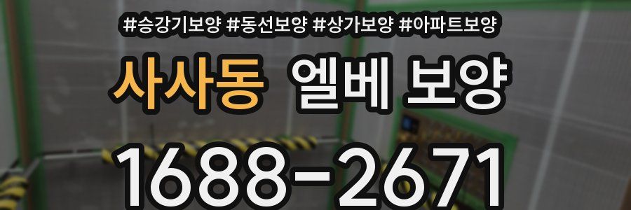 사사동 엘베 보양