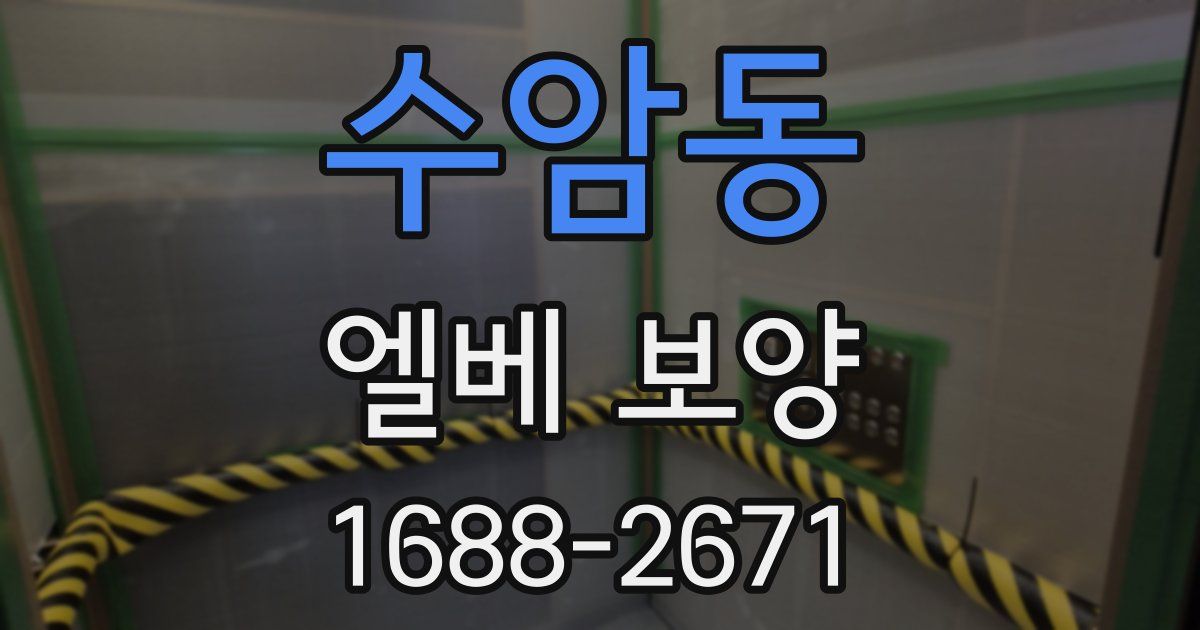 수암동 엘베 보양
