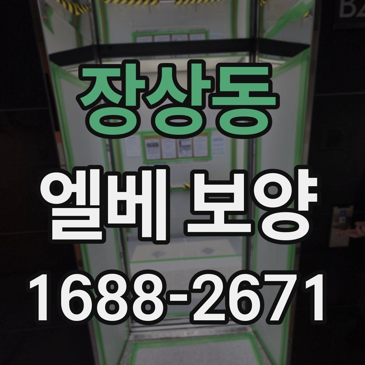 장상동 엘베 보양