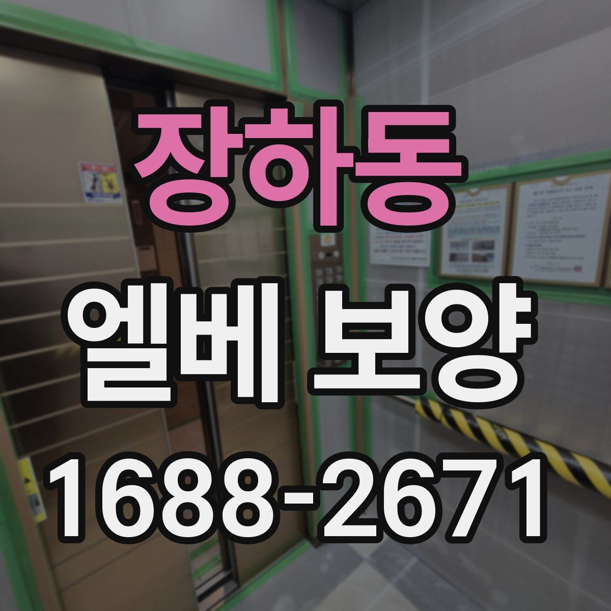 장하동 엘베 보양