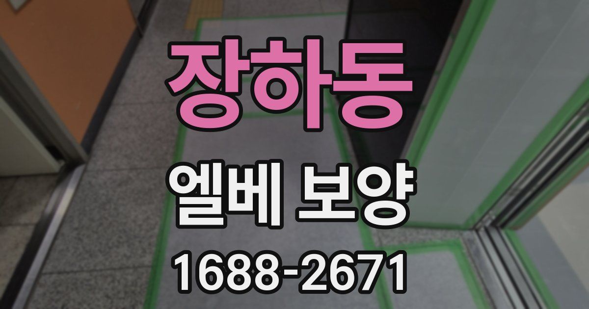 장하동 엘베 보양