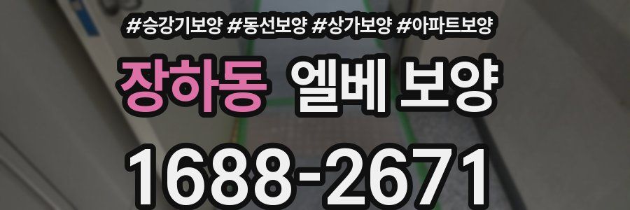 장하동 엘베 보양