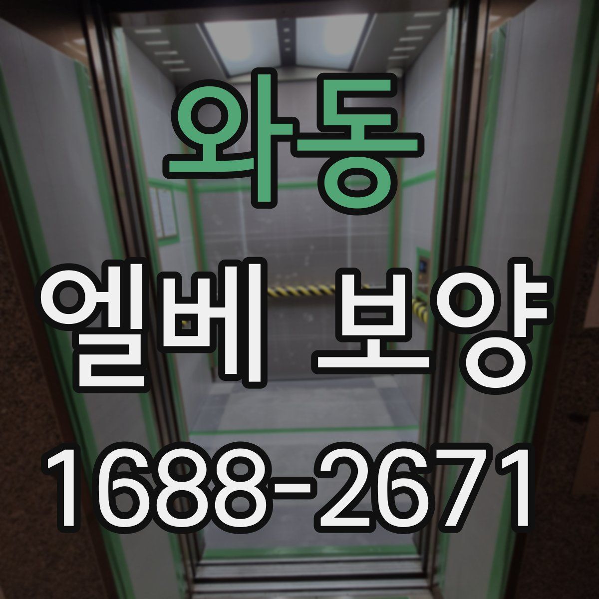 와동 엘베 보양