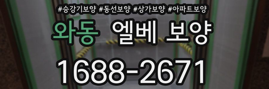 와동 엘베 보양