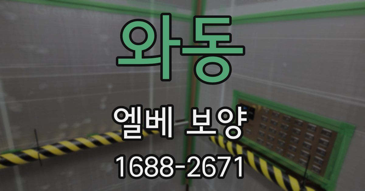 와동 엘베 보양