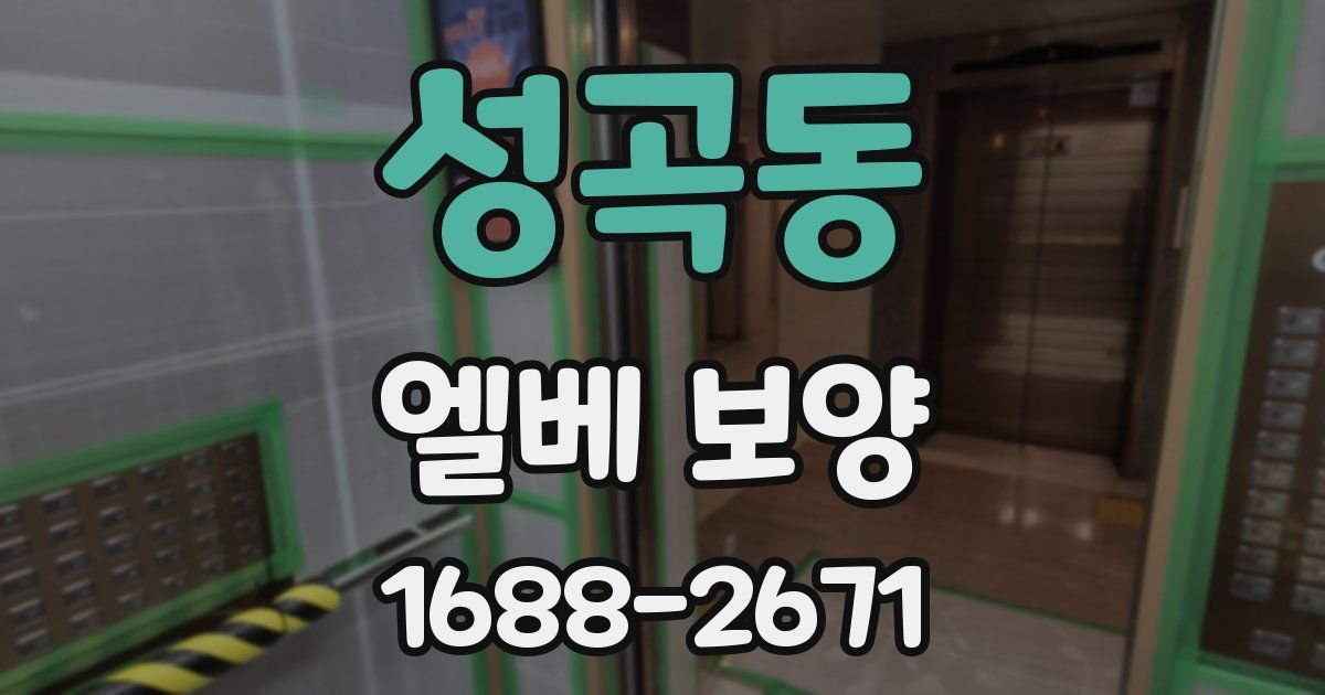 성곡동 엘베 보양