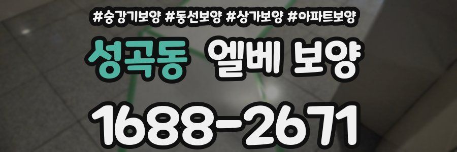 성곡동 엘베 보양