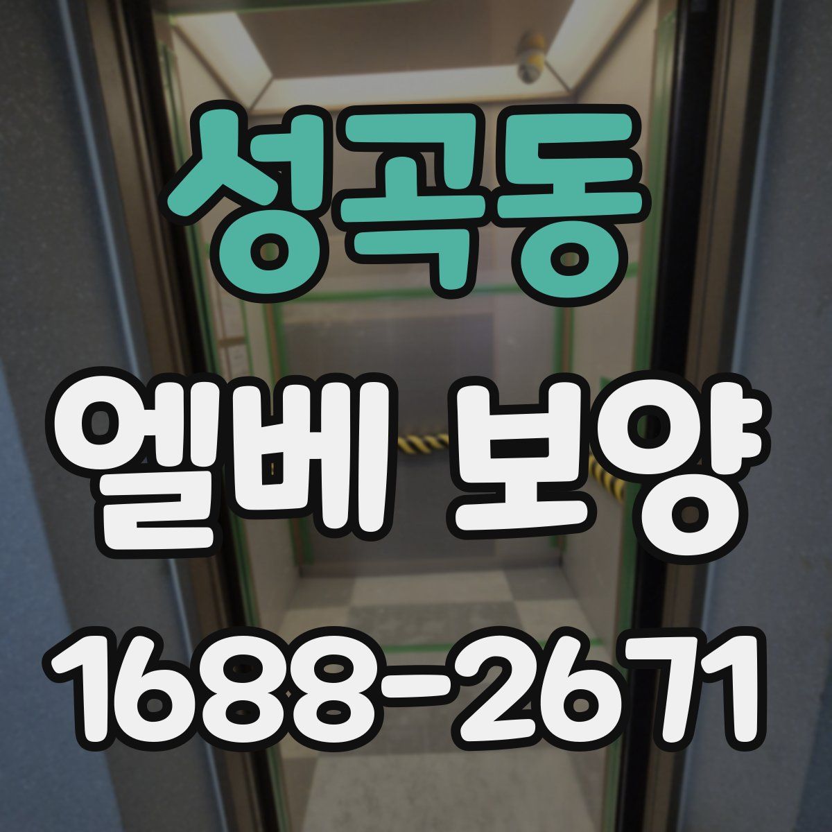 성곡동 엘베 보양