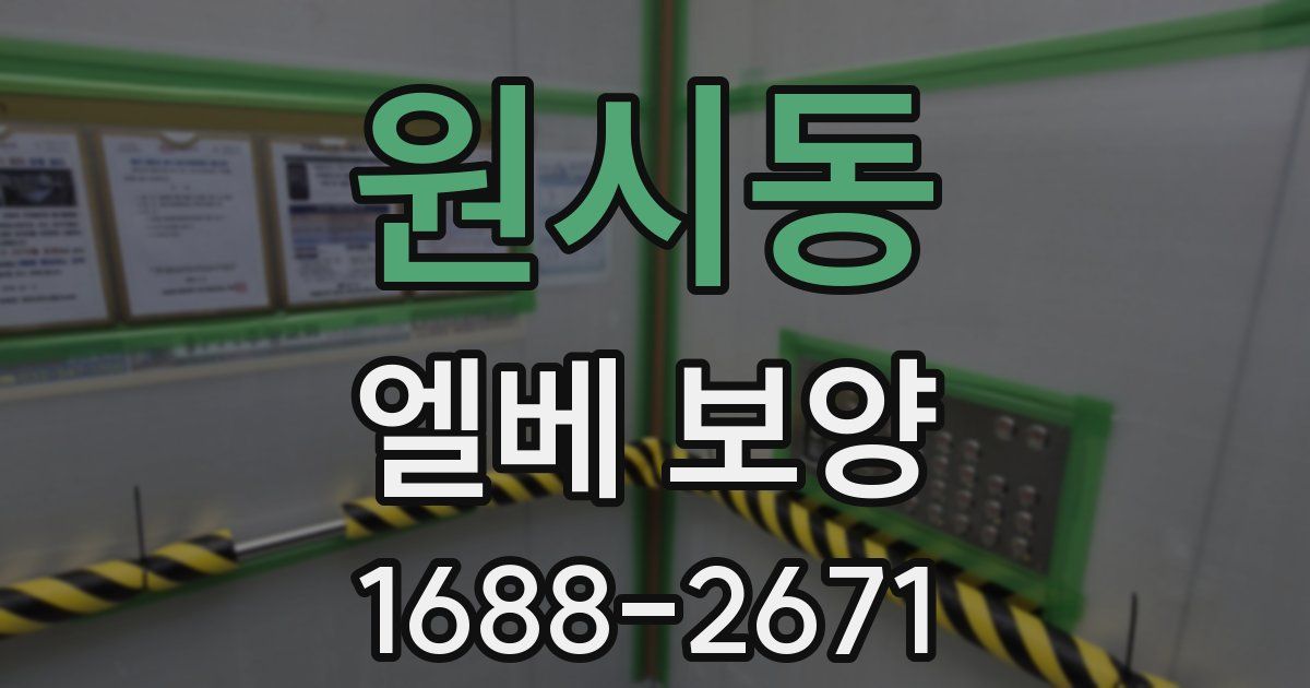 원시동 엘베 보양