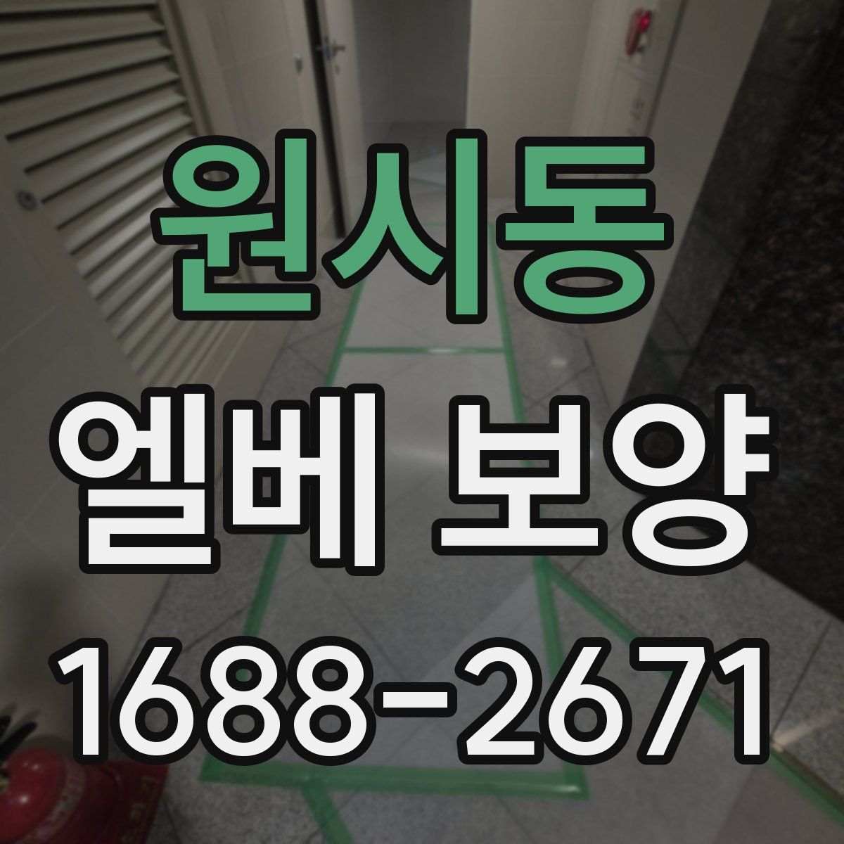 원시동 엘베 보양