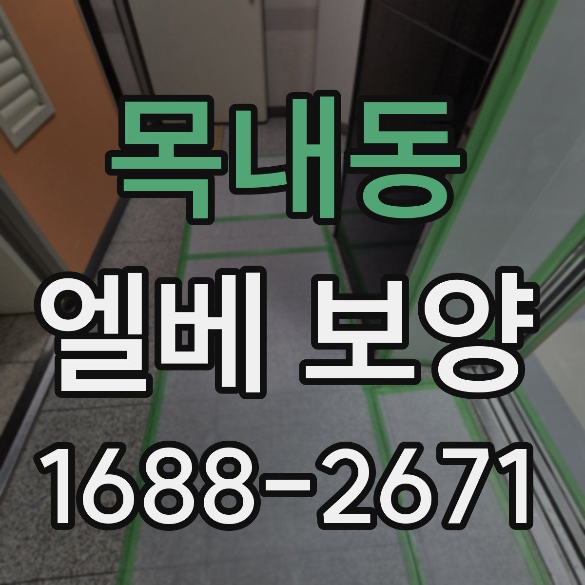 목내동 엘베 보양 공사 분진 많은 환경에서도 청결을 유지하는 법