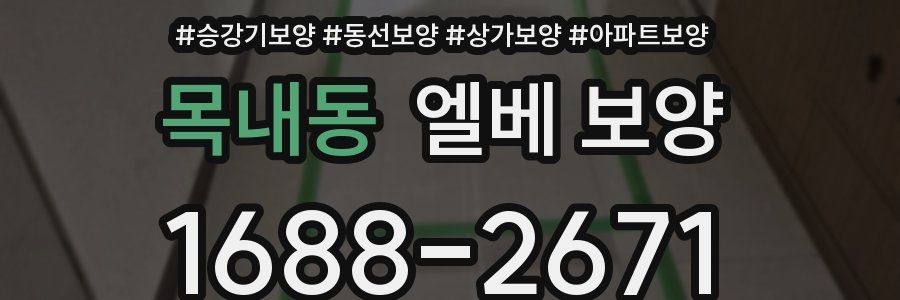 목내동 엘베 보양