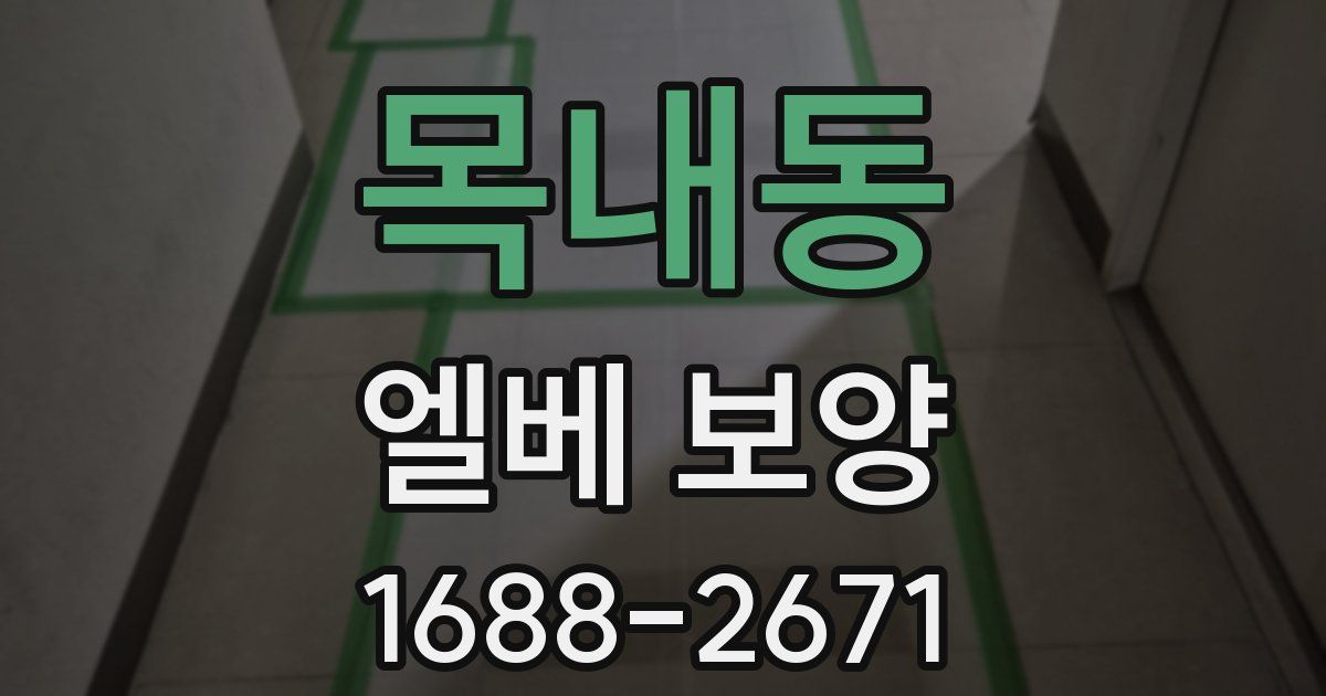 목내동 엘베 보양