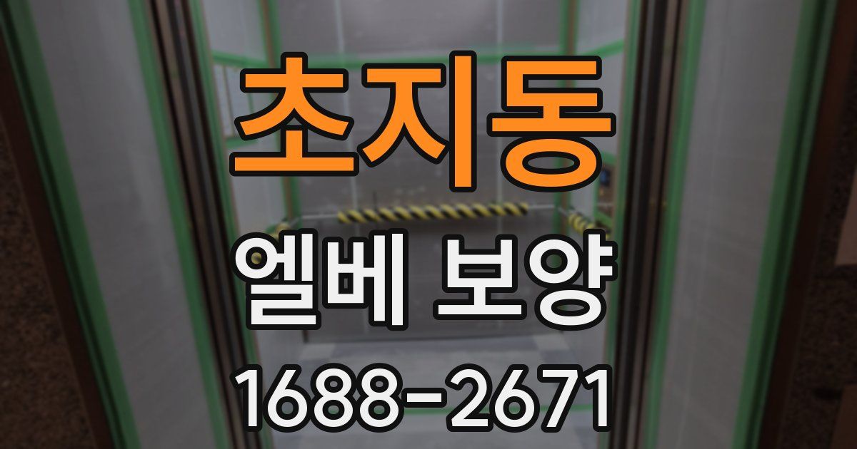 초지동 엘베 보양