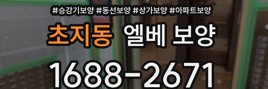 초지동 엘베 보양