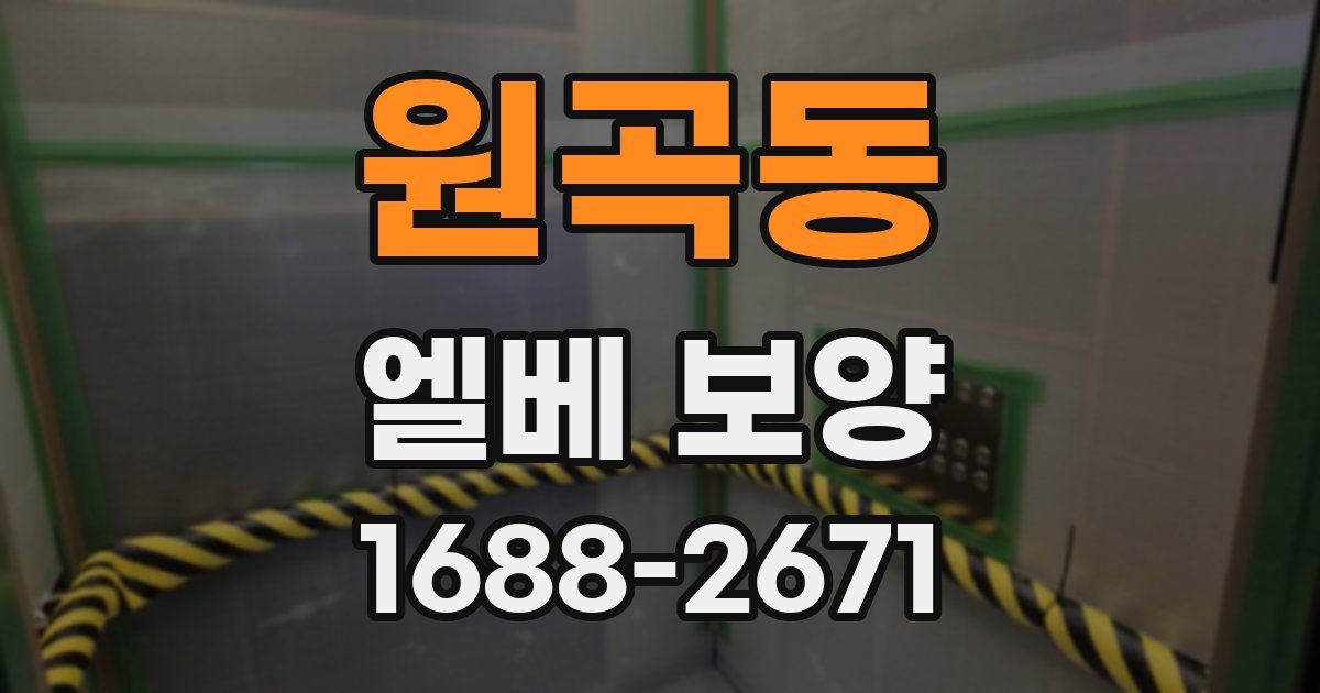 원곡동 엘베 보양
