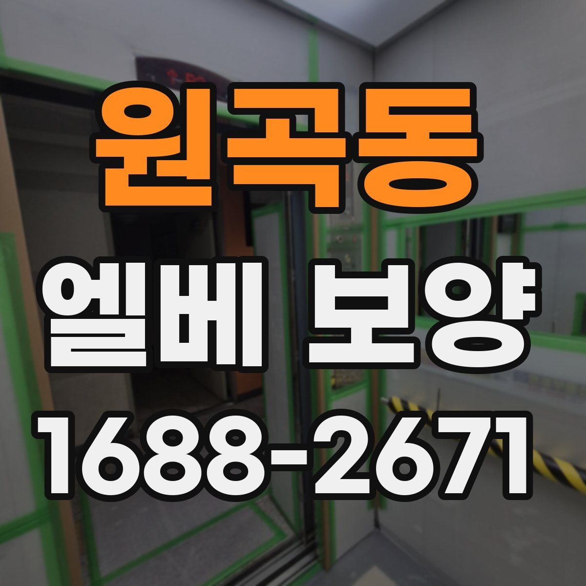 원곡동 엘베 보양