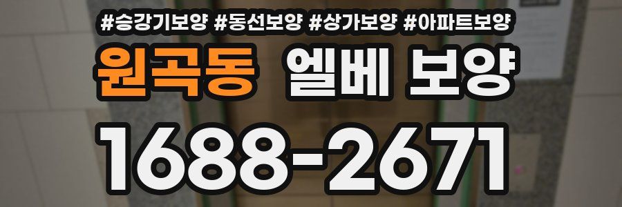 원곡동 엘베 보양