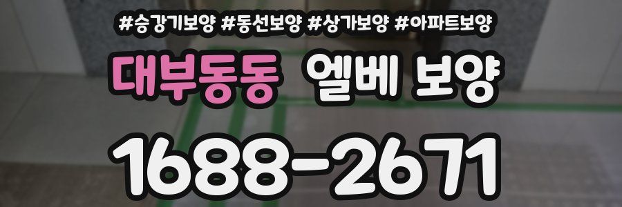 대부동동 엘베 보양