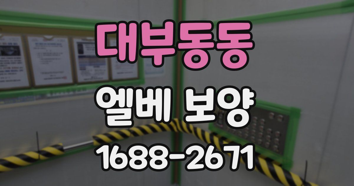 대부동동 엘베 보양
