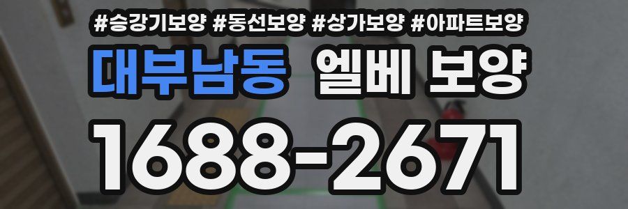 대부남동 엘베 보양
