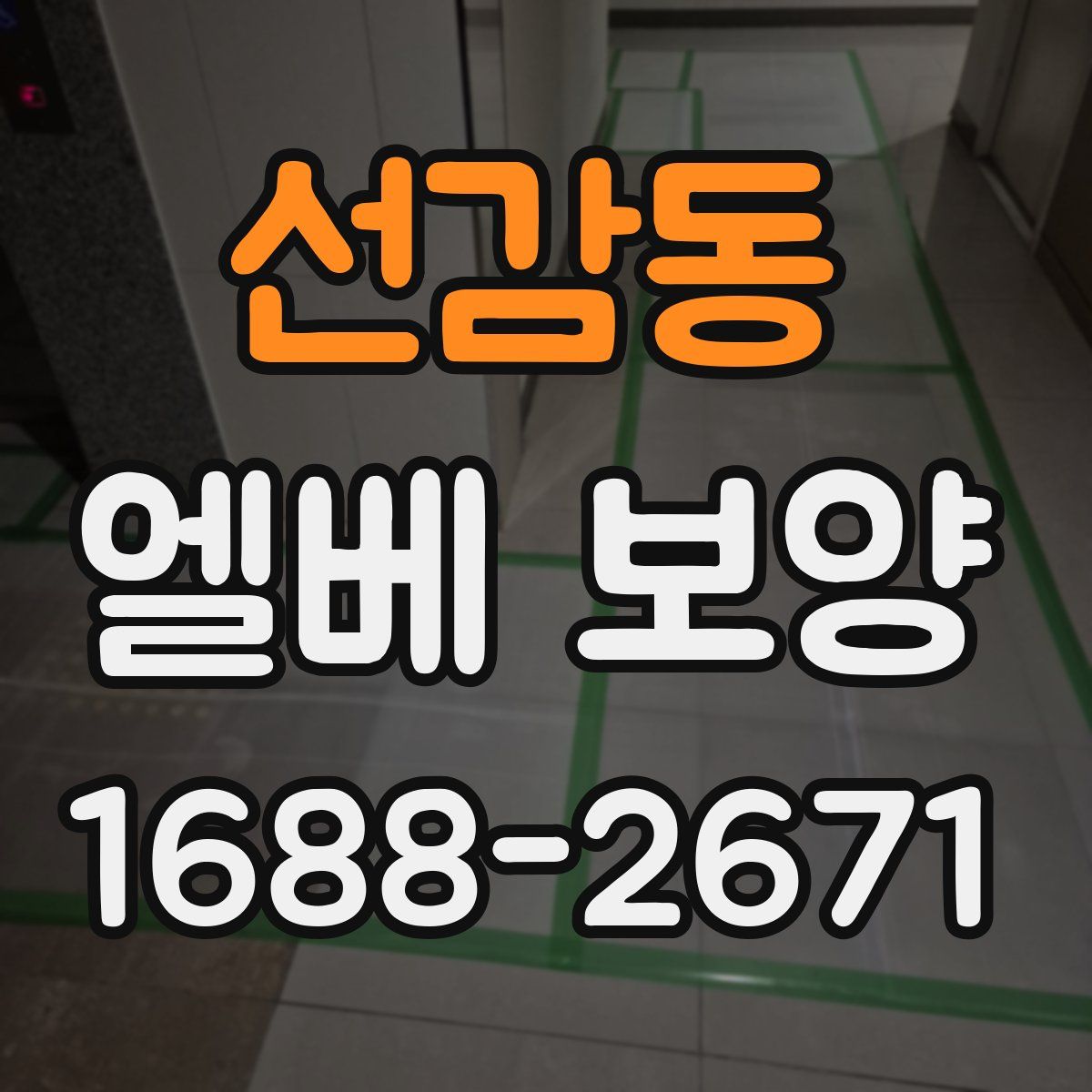 선감동 엘베 보양