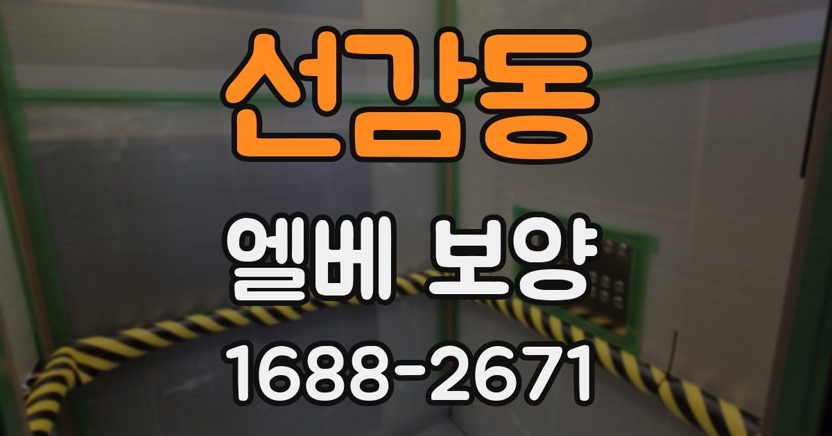 선감동 엘베 보양