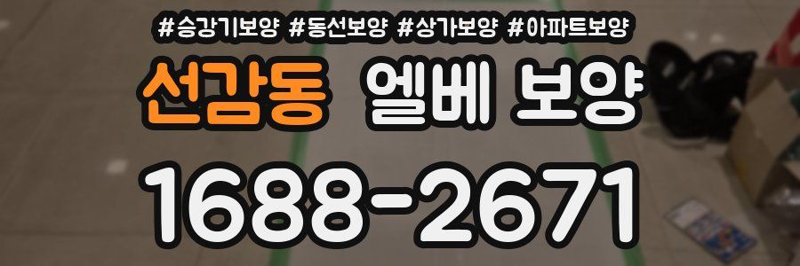선감동 엘베 보양