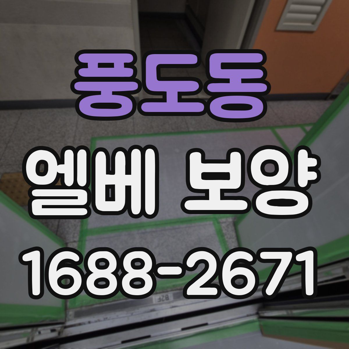 풍도동 엘베 보양