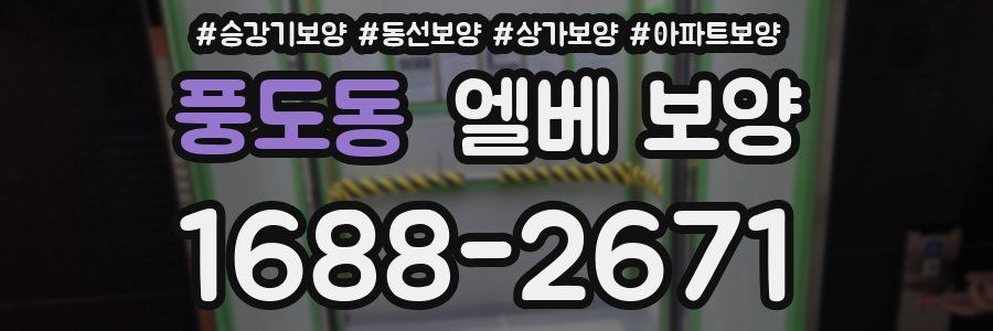 풍도동 엘베 보양