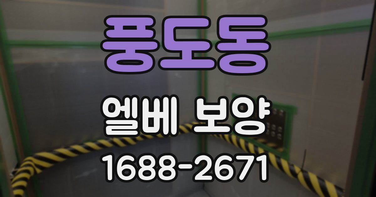 풍도동 엘베 보양