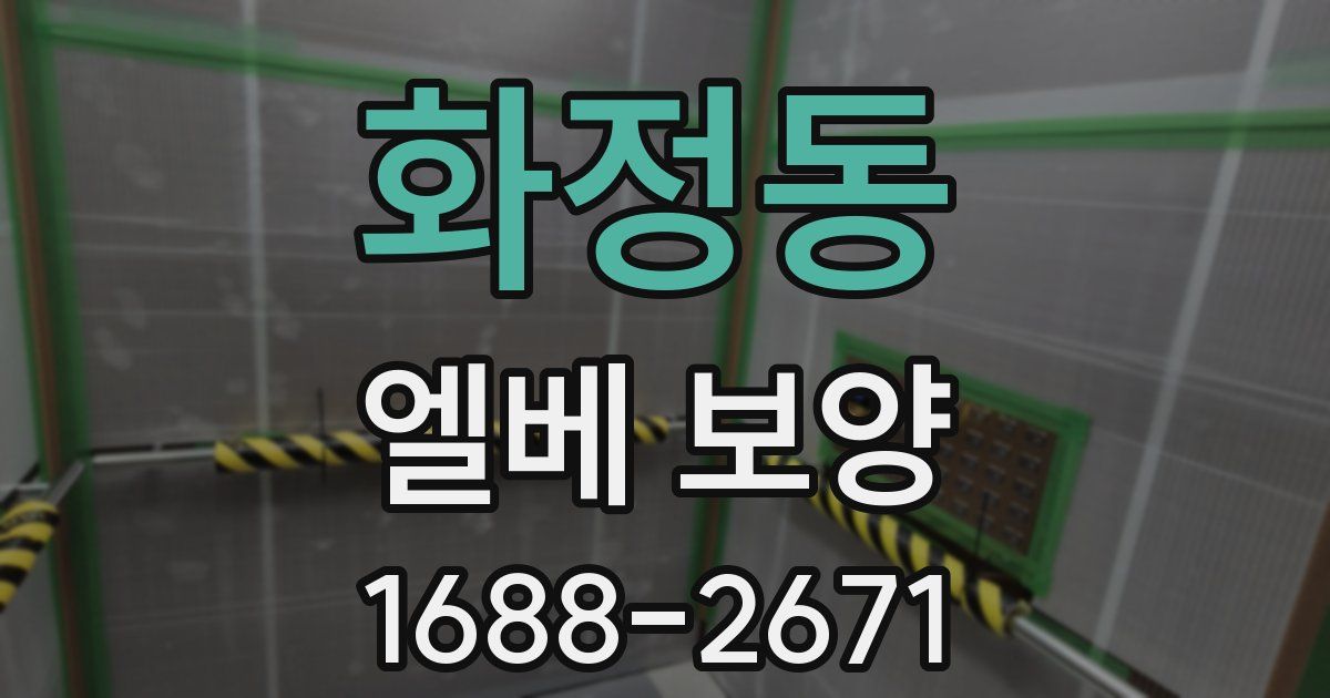 화정동 엘베 보양