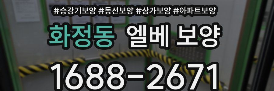 화정동 엘베 보양