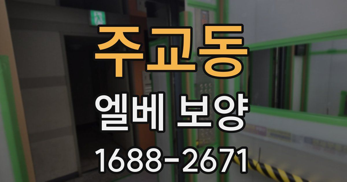 주교동 엘베 보양