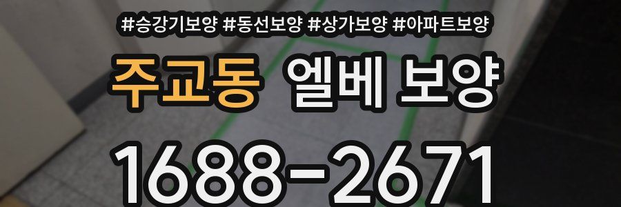 주교동 엘베 보양