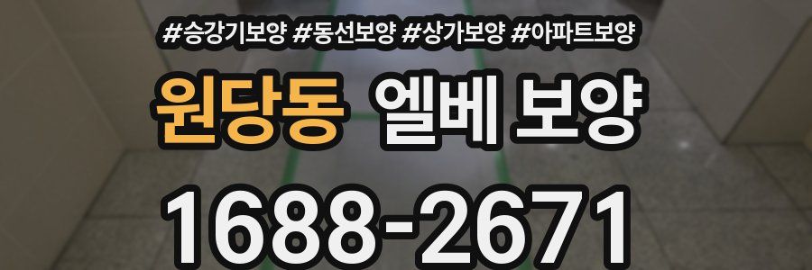 원당동 엘베 보양