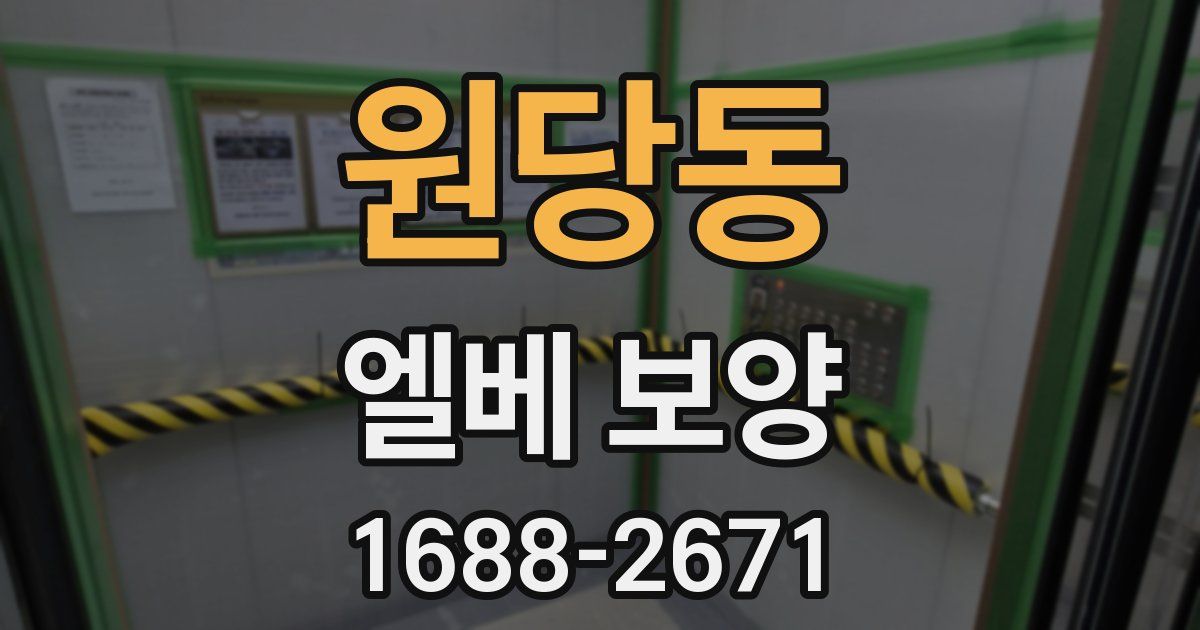 원당동 엘베 보양