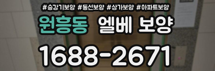 원흥동 엘베 보양