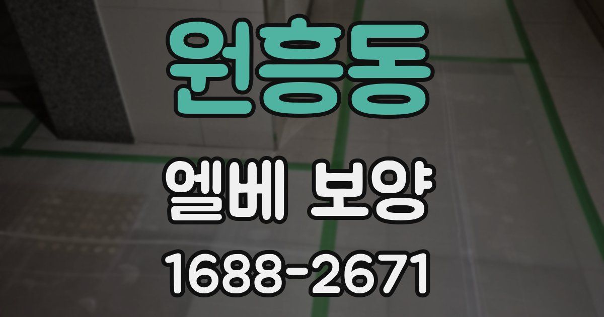 원흥동 엘베 보양