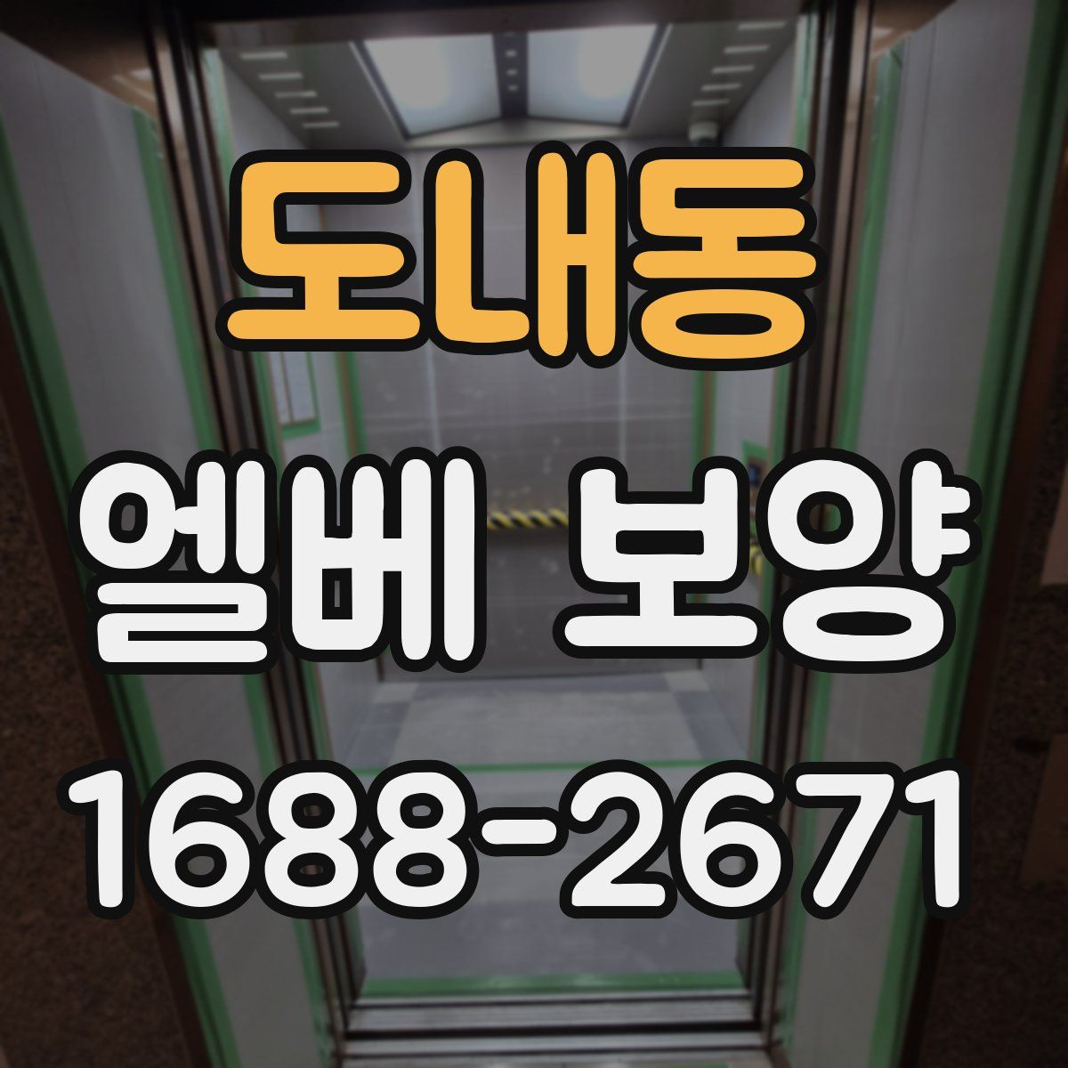 도내동 엘베 보양